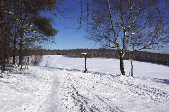 雪中的痕跡