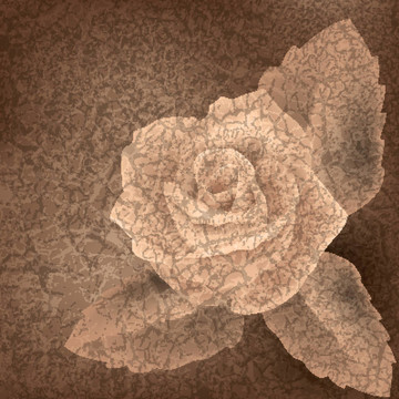 摘要花卉插圖