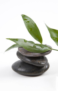 禪石和樹(shù)葉與水滴；孤立。SPA的背景