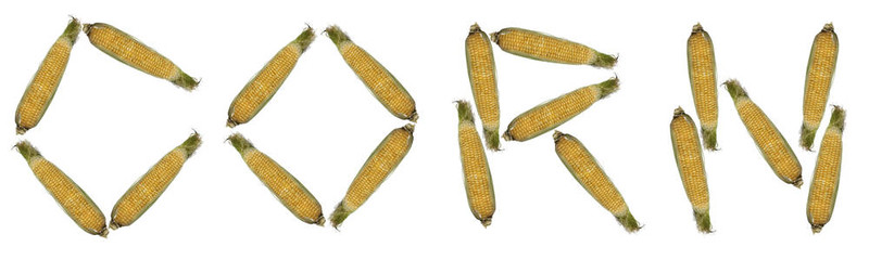 玉米粒