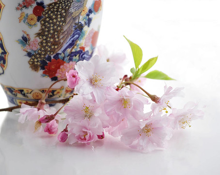 櫻桃花和花瓶
