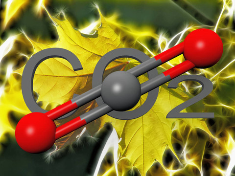 葉片上的二氧化碳符號