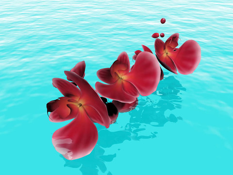 水上的紅蘭花花瓣