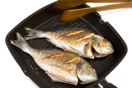 魚