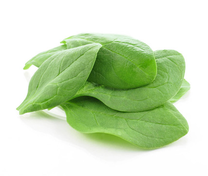 蔬菜色拉