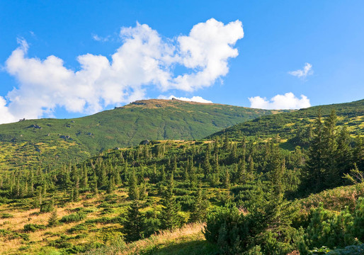 夏天的山景
