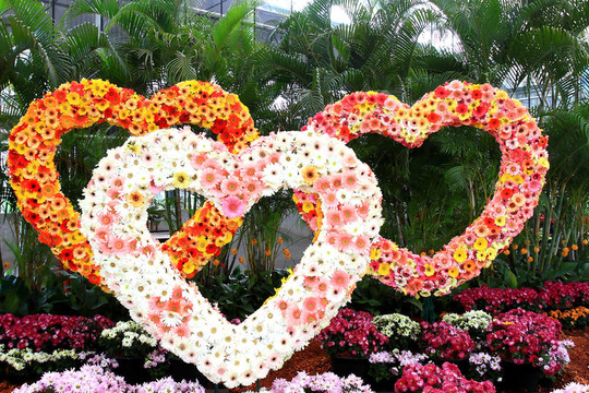 花三顆心。