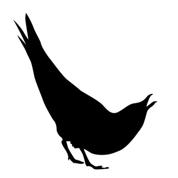 圖