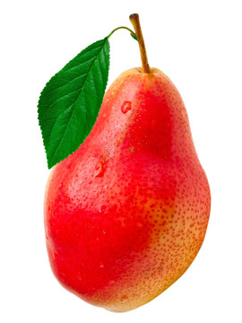 梨