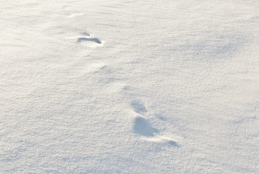 雪地上的腳步聲