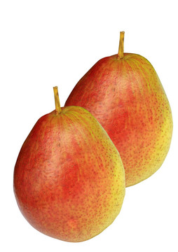 兩個(gè)梨