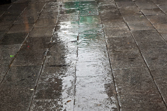 鋪路的雨