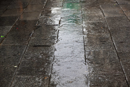 鋪路的雨