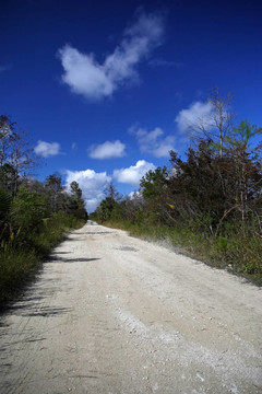簡的景區(qū)公路