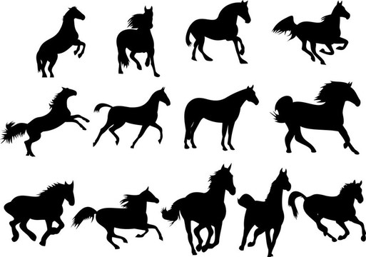 野馬