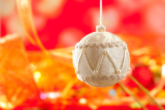 白色的絨毛玩具圣誕紅卡