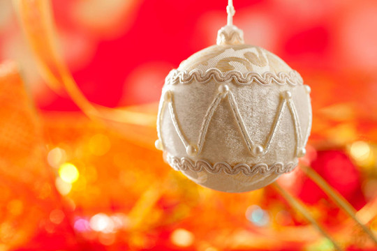 白色的絨毛玩具圣誕紅卡