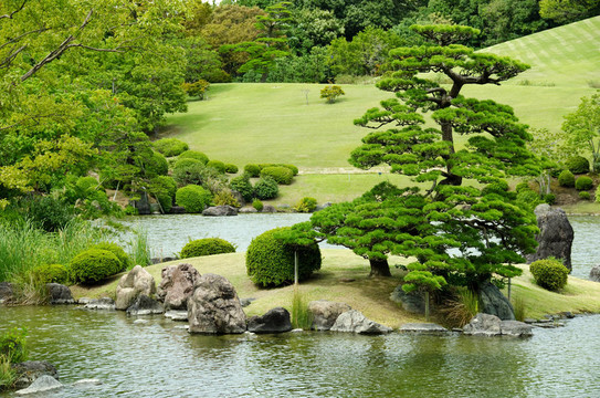 日本式庭園