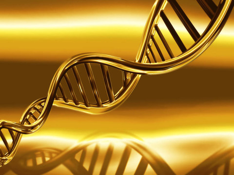 黃金股的DNA
