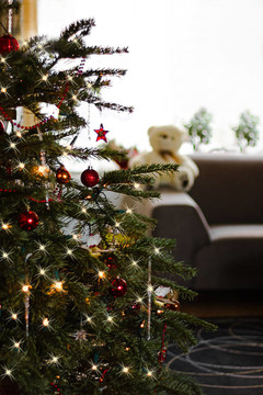 roomview與圣誕樹(shù)