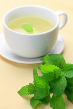 草本茶