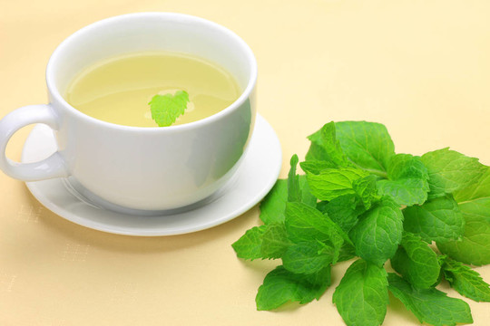 草本茶