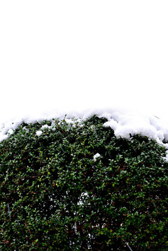 下雪