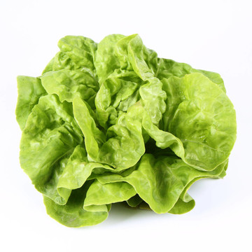 生菜