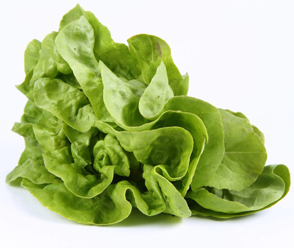 生菜