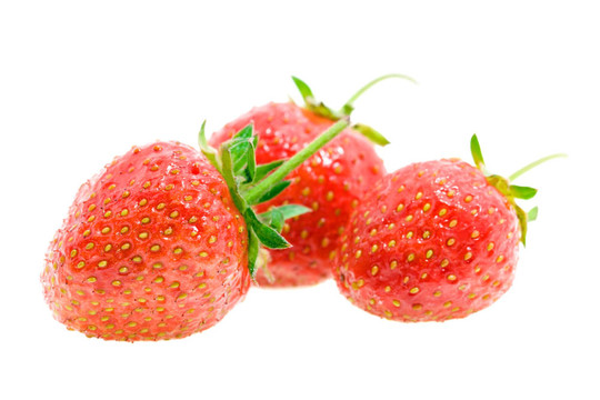 草莓