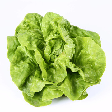生菜