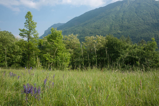 田野與鄉(xiāng)村。