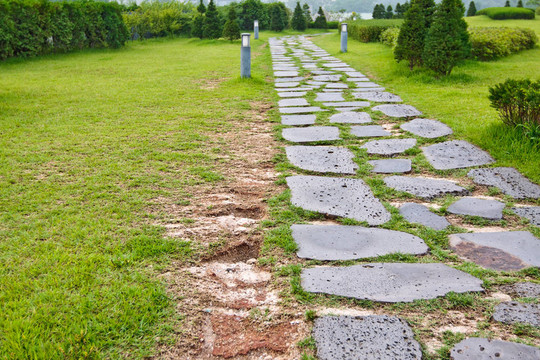 草坪上的公園賽道