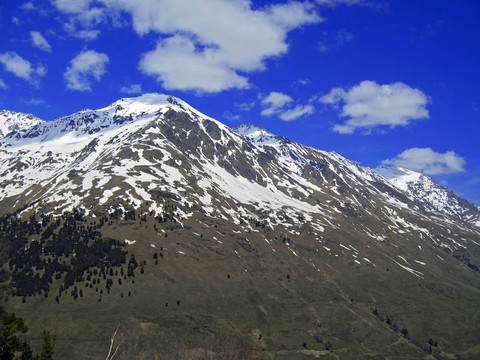 山地景觀