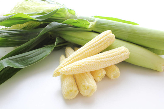 小玉米