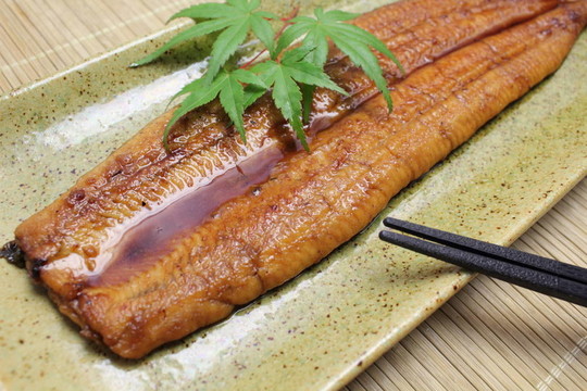 烤鰻魚