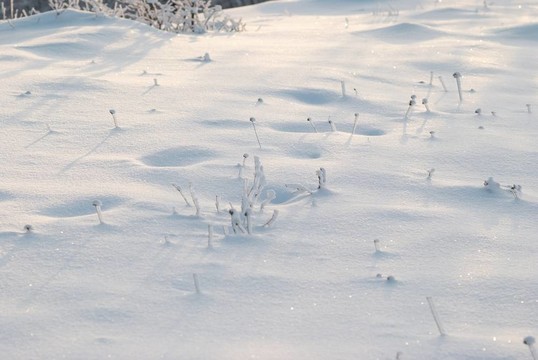 冬季積雪場。