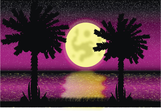 熱帶的夜晚