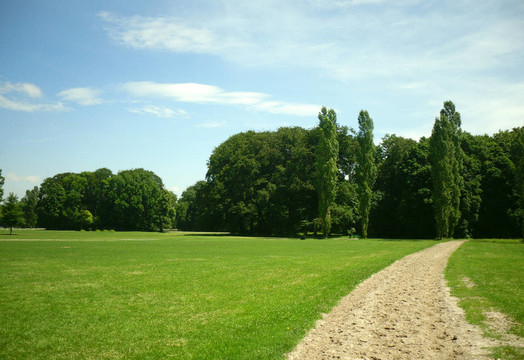 公園里的路