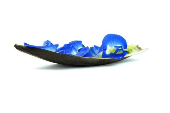 藍色的花舟