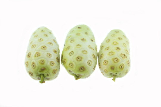 諾麗果