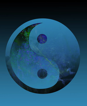 尹洋符號