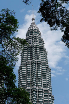 在樹枝KLCC