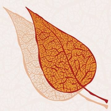 它的影子落vintageautumn葉