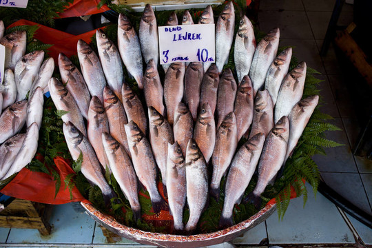 鱸魚失速