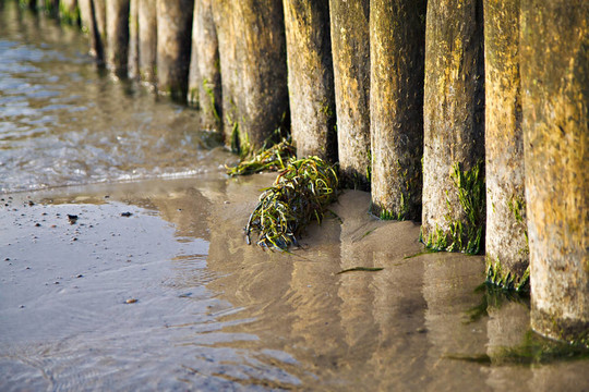在波羅的海海邊的Groyne。