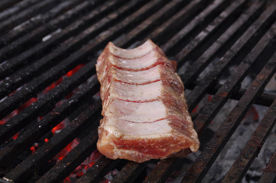 烹調(diào)肉類燒烤