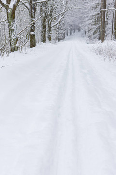 雪道；捷克共和國(guó)