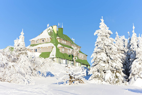 Masarykova Cottage；冬天orlicke山；捷克共和國