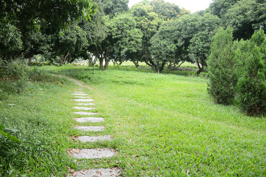 公園小路
